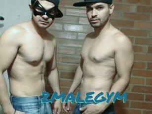 2MALEGYM