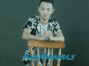 AndyBrandly