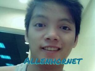 Allen_hornet