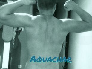 Aquachar