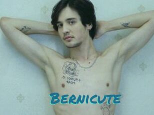 Bernicute