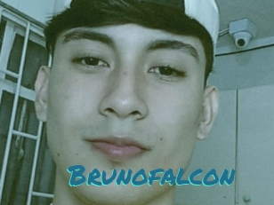 Brunofalcon