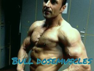 Bull_dosemuscles