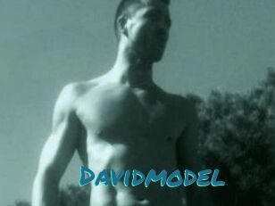 Davidmodel