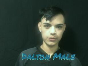 Dalton_Male