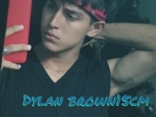 Dylan_brown15cm