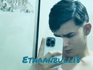 Ethaanbull18