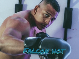 Falcon_hot