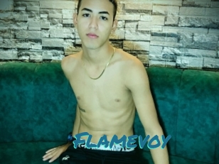 Flamevoy