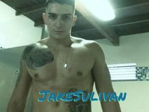 Jake_Sulivan