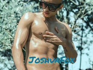 JoshuaFox