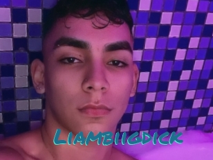 Liambiigdick