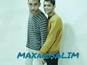 MAXandSALIM