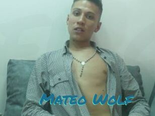 Mateo_Wolf