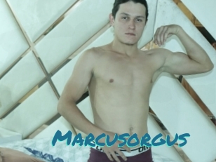 Marcusorgus