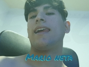 Mario_neta