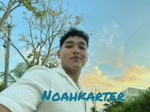 Noahkarter