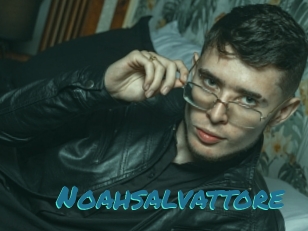 Noahsalvattore