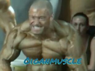 Oigan_muscle