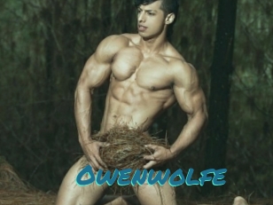 Owenwolfe