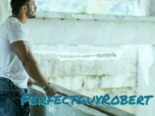 PerfectguyRobert