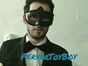 PerverToyBoy