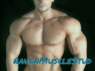 RavenMuscleStud