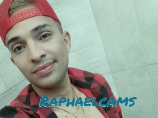 Raphaelcams