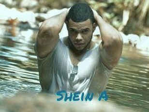 Shein_A