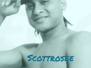 Scottrosee