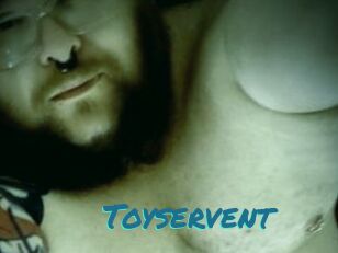 Toyservent