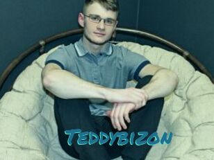 Teddybizon