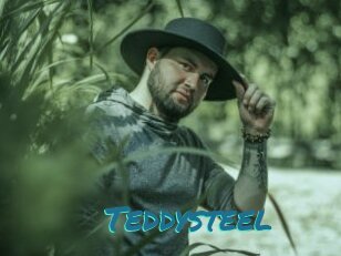 Teddysteel