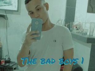 The_bad_boys_1