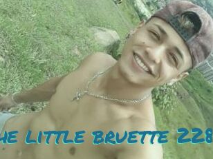 The_little_bruette_228