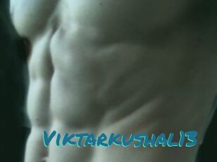 Viktarkushal13