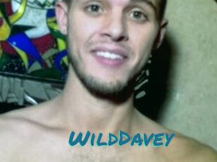 WildDavey