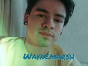 Waynemarsh